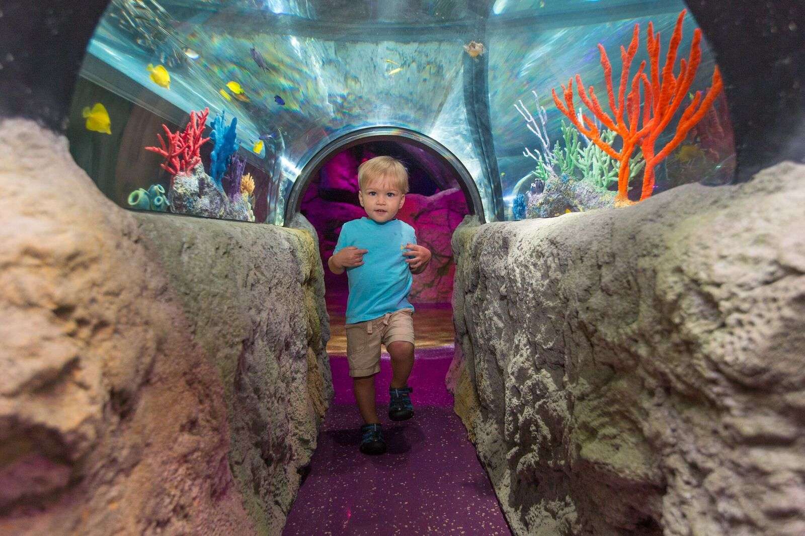 Madame Tussauds + Sea Life Orlando
