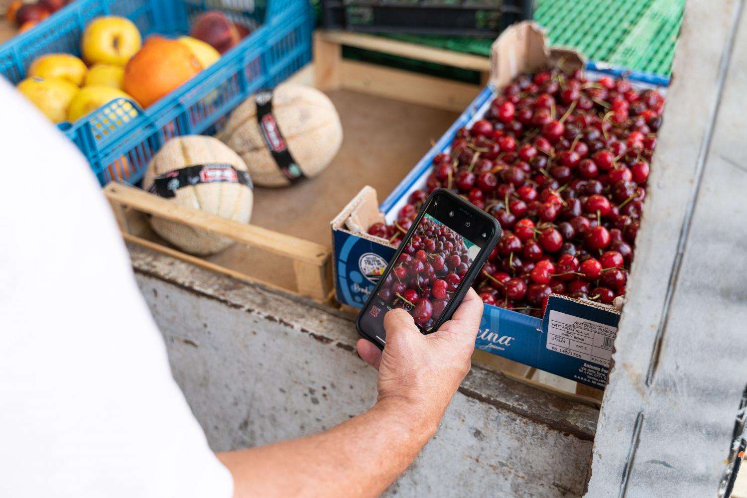Street food en Verona con cocinero local