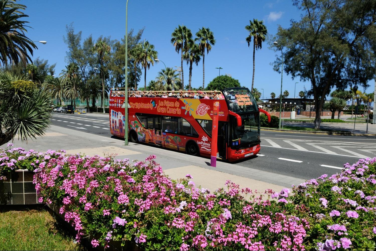 Bus turístico Hop-on Hop-off Las Palmas