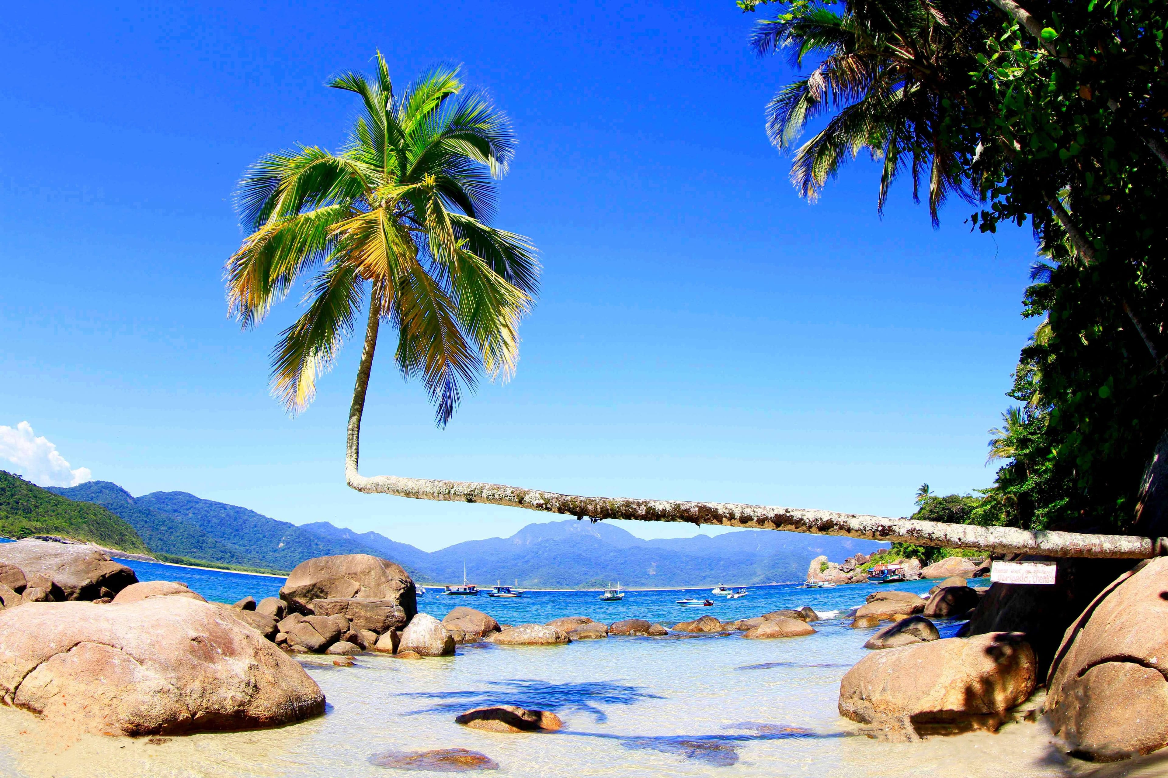 Día completo alrededor de Isla Grande