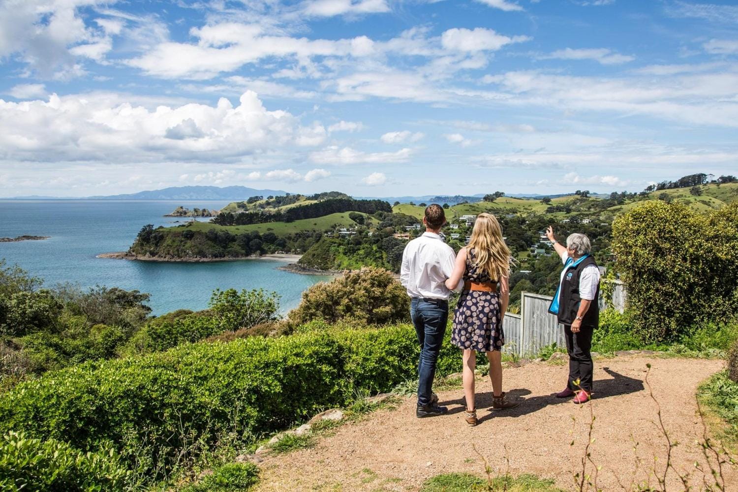 Isla Waiheke: día estándar semiprivado