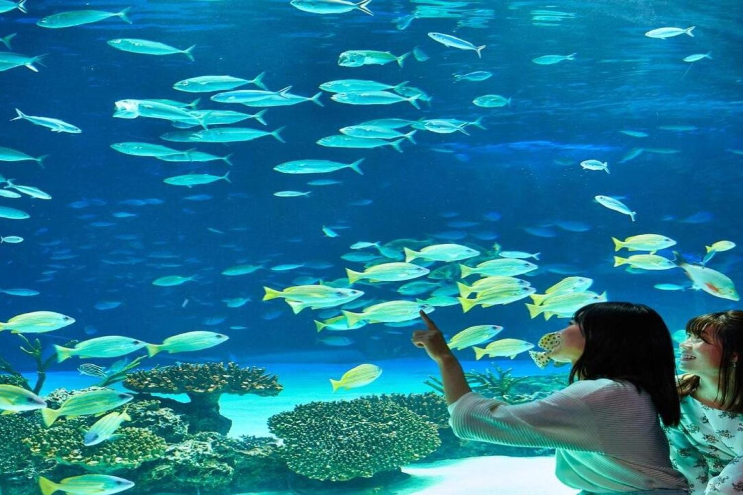 Sunshine Aquarium
