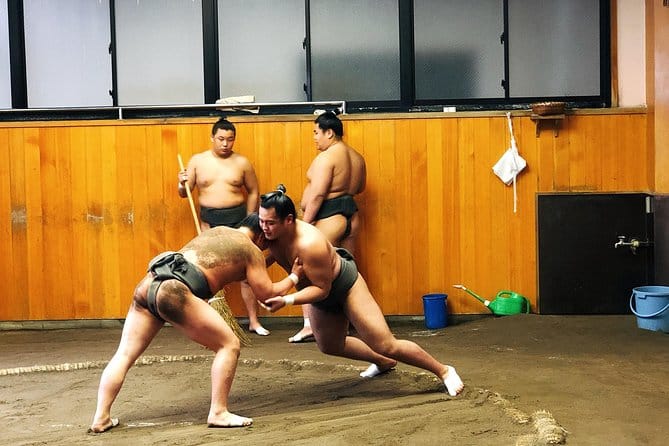 Sumo: entrenamiento en grupo pequeño