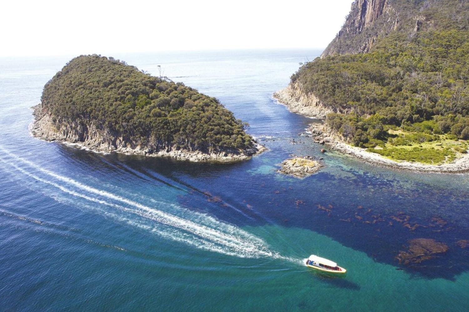 Isla Bruny: crucero de naturaleza 3 h