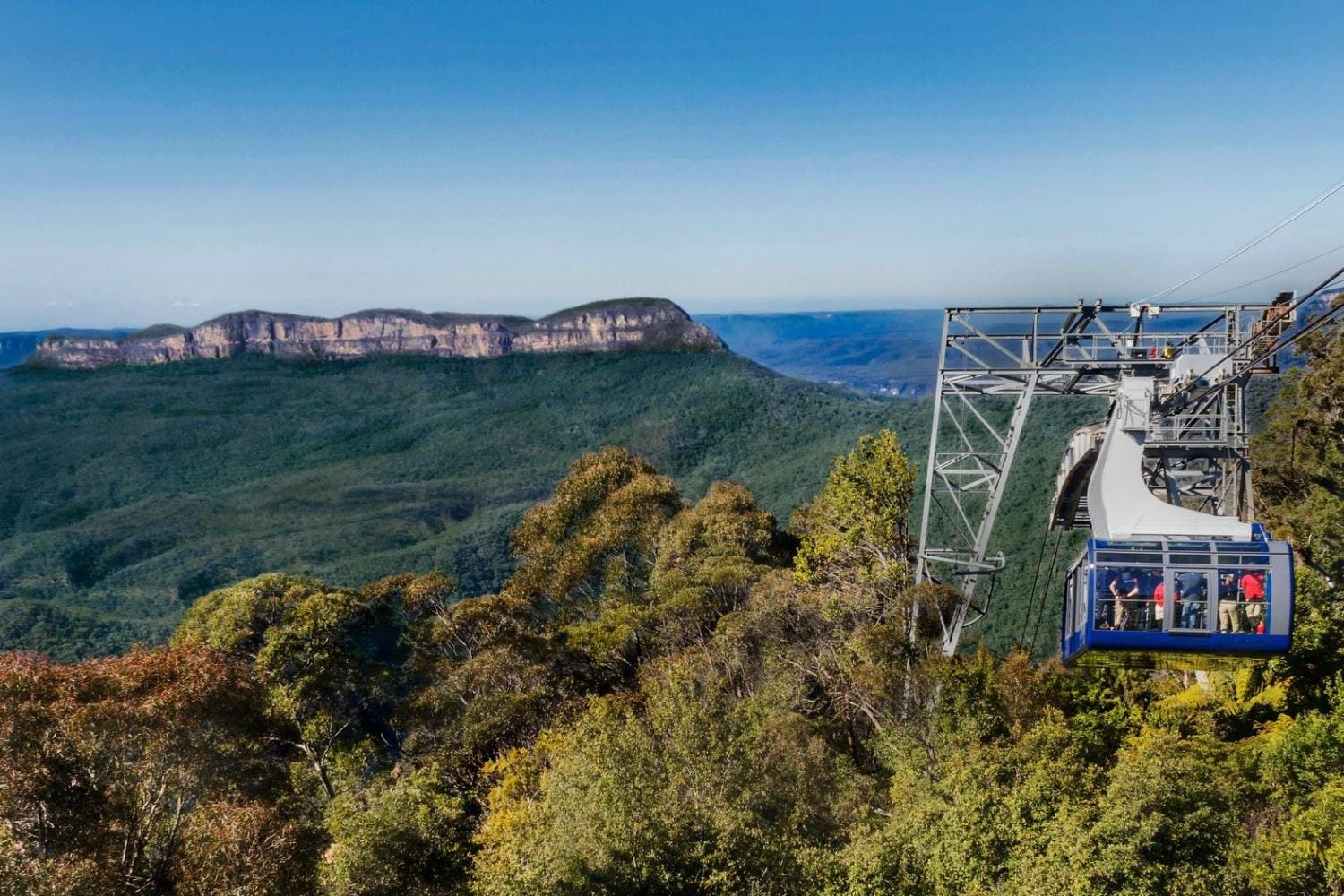 Scenic World: pase Ultimate Discovery