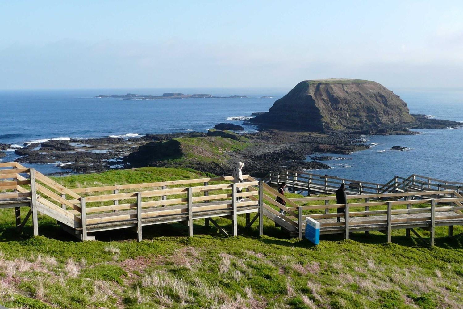 City tour, Phillip Island y santuario