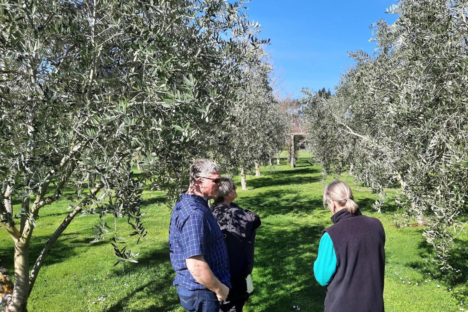 Gastronomía y bodega en Martinborough