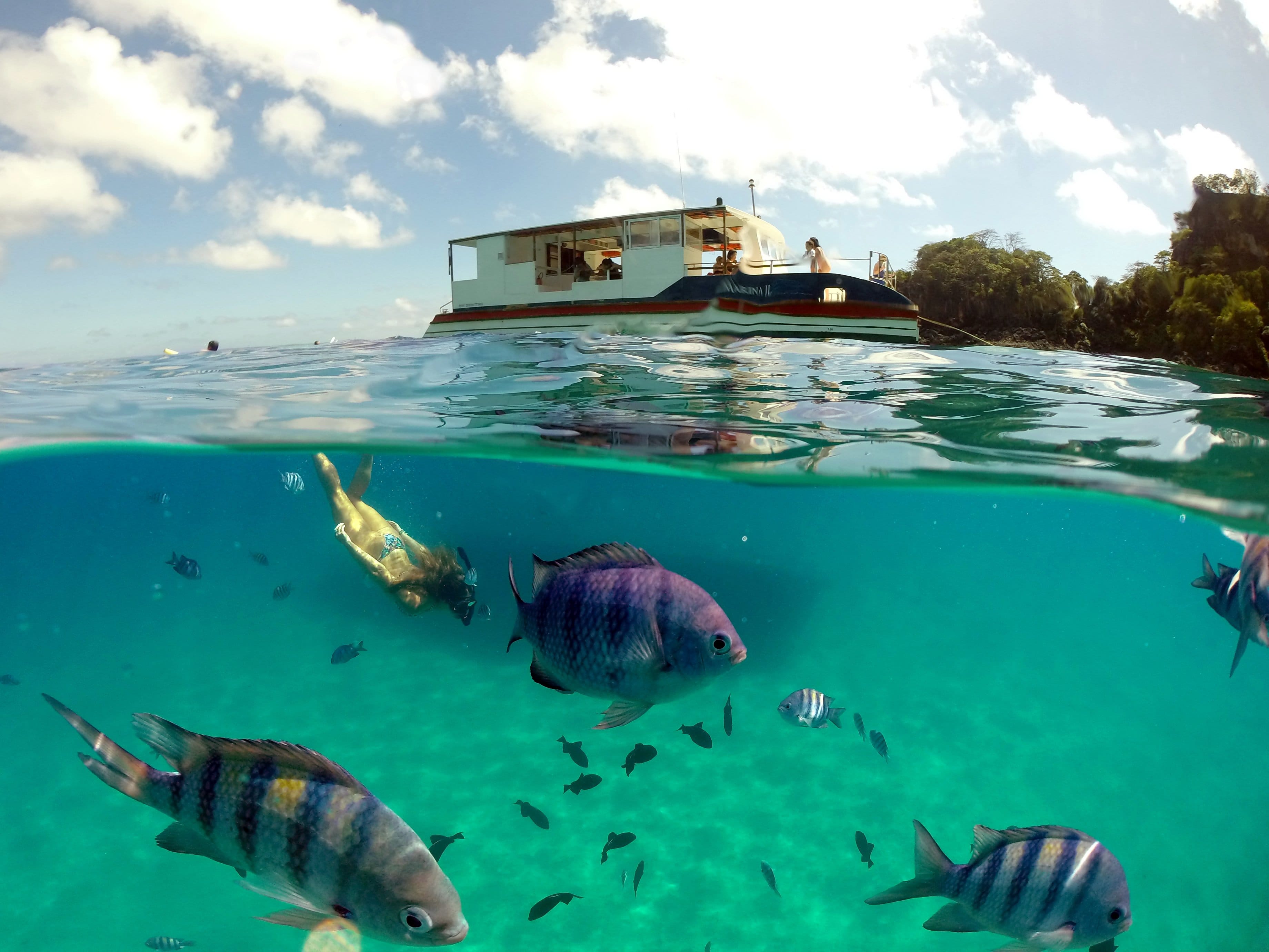 Barco por Noronha y Bahía del Sancho