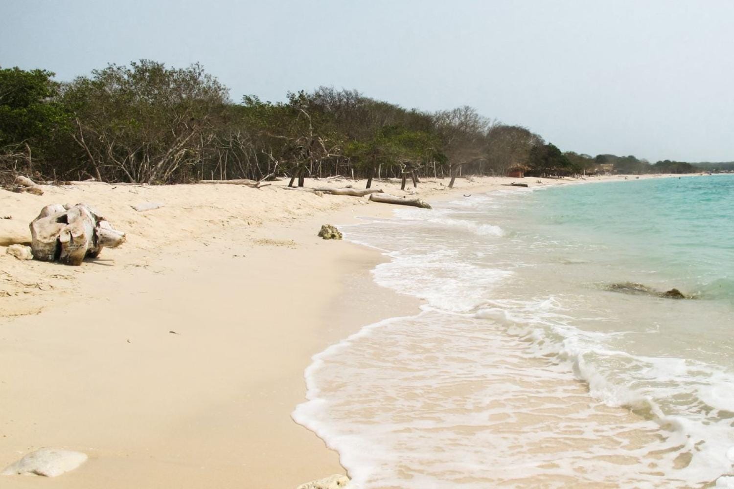 Pasadía en Isla Barú por tierra