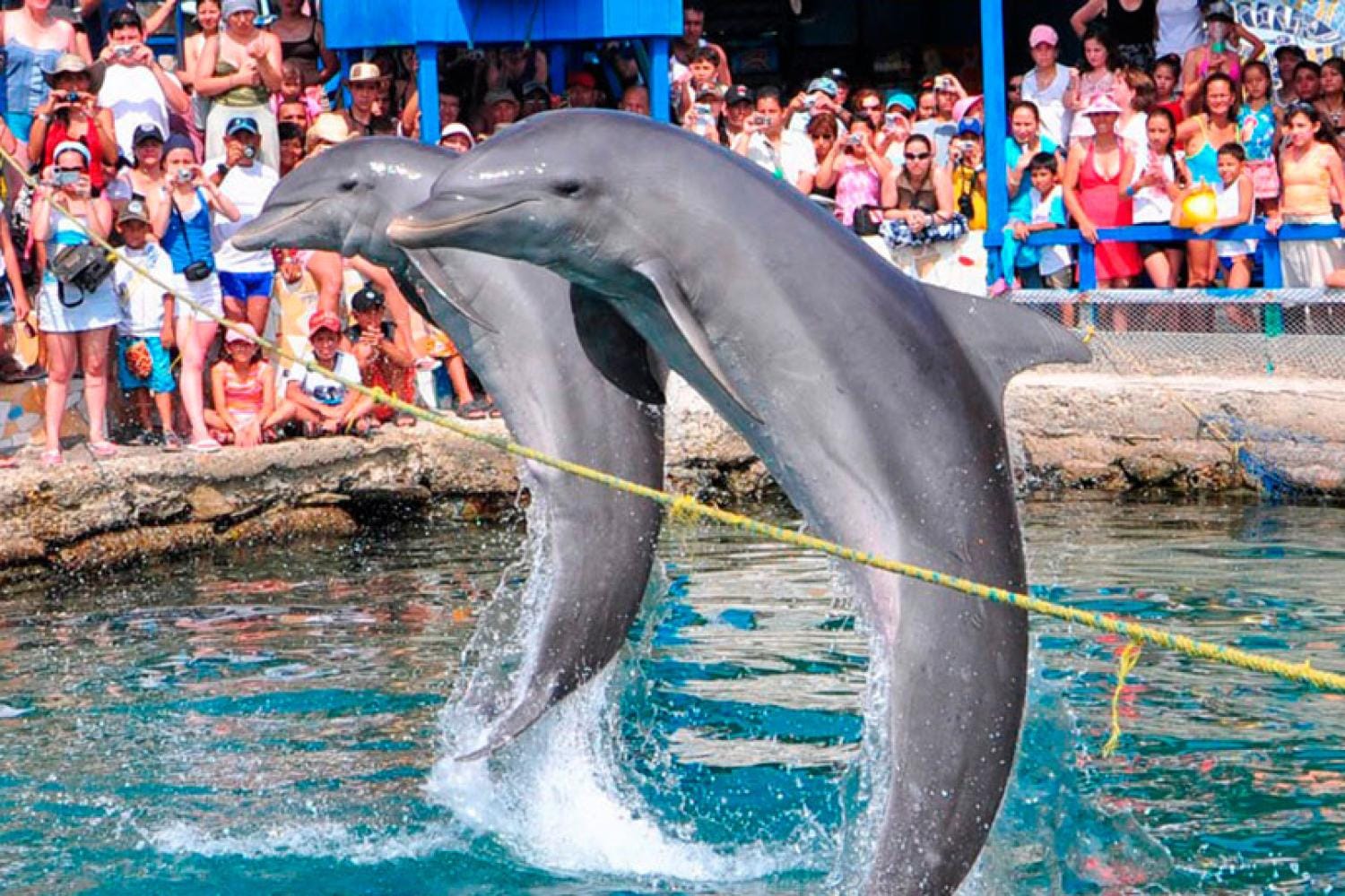 Acuario y Playa Blanca en Santa Marta