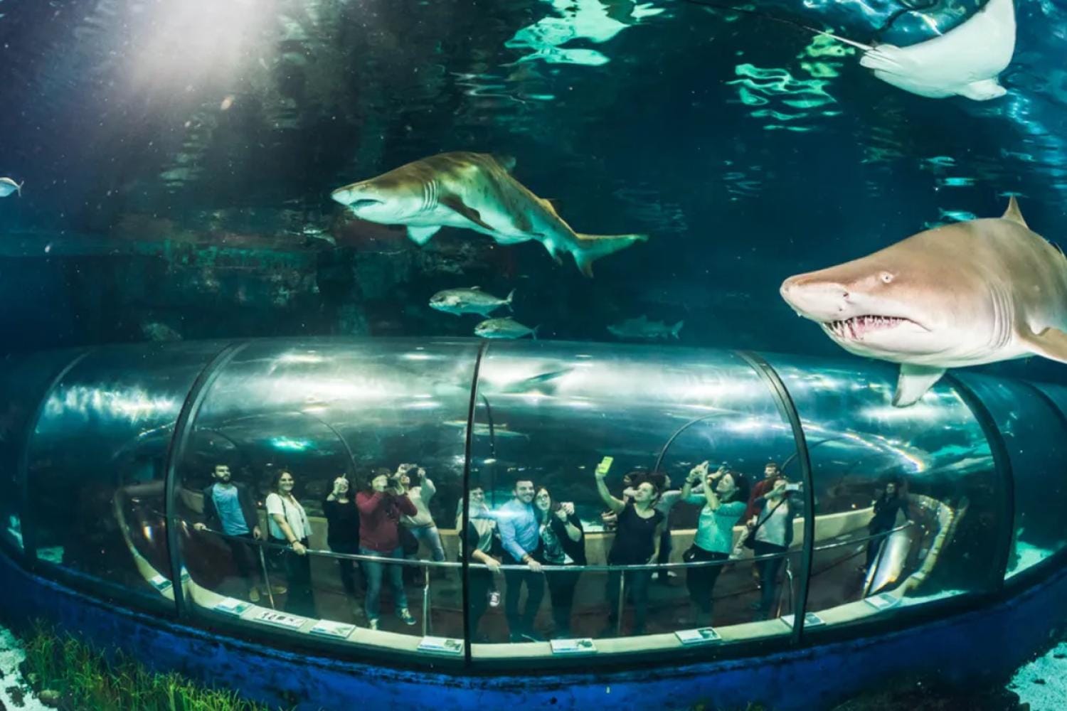 Entrada a L Aquàrium de Barcelona