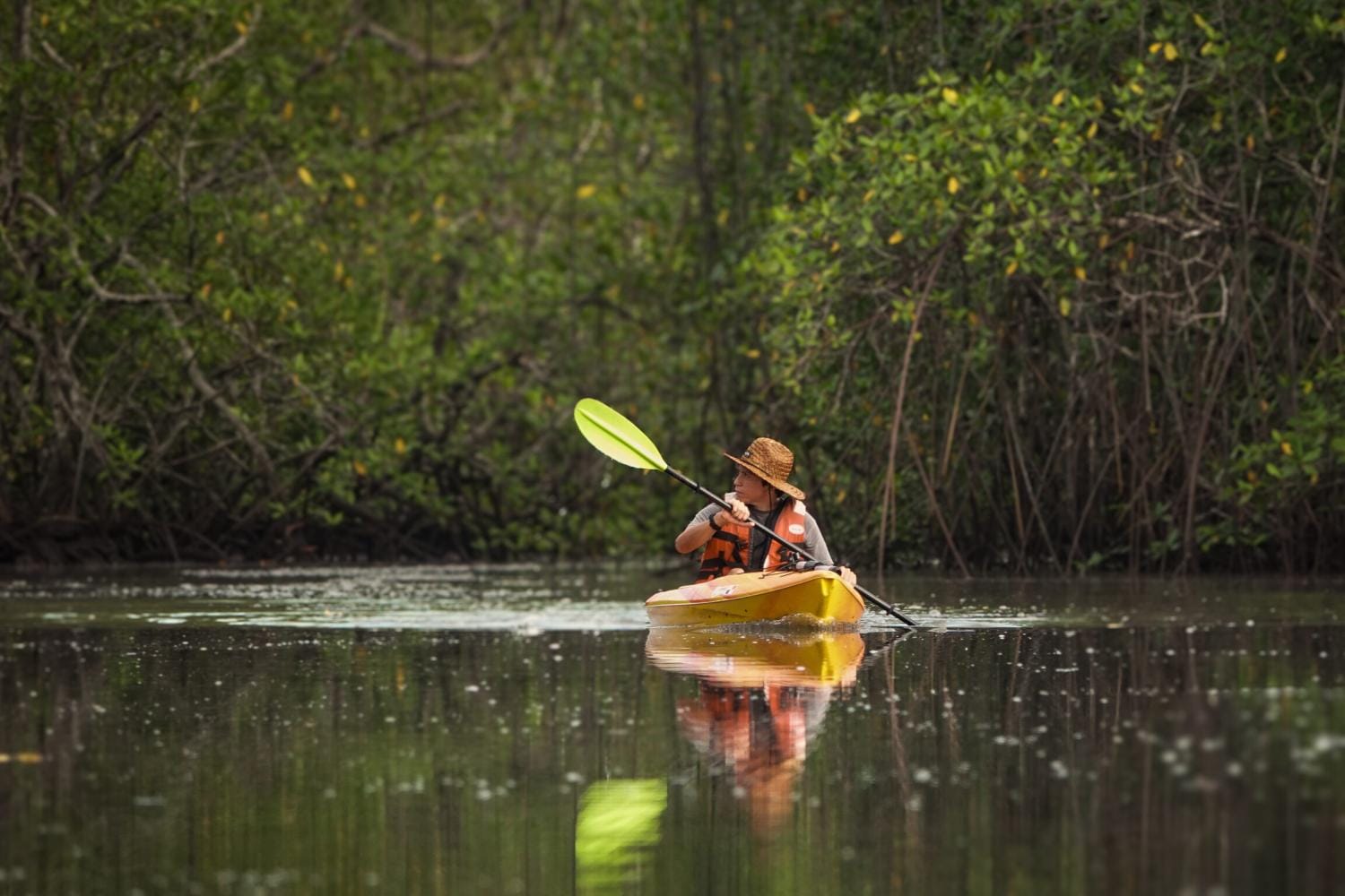 Kayak por manglares en Punta de Tierra
