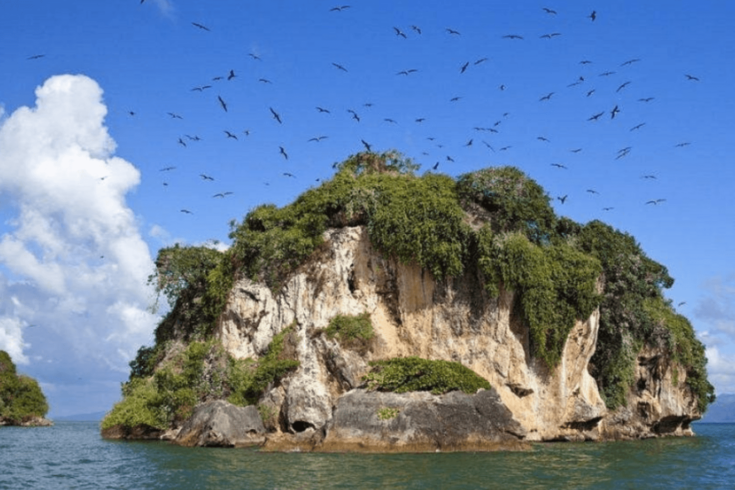 Los Haitises y Montaña Redonda con almuerzo