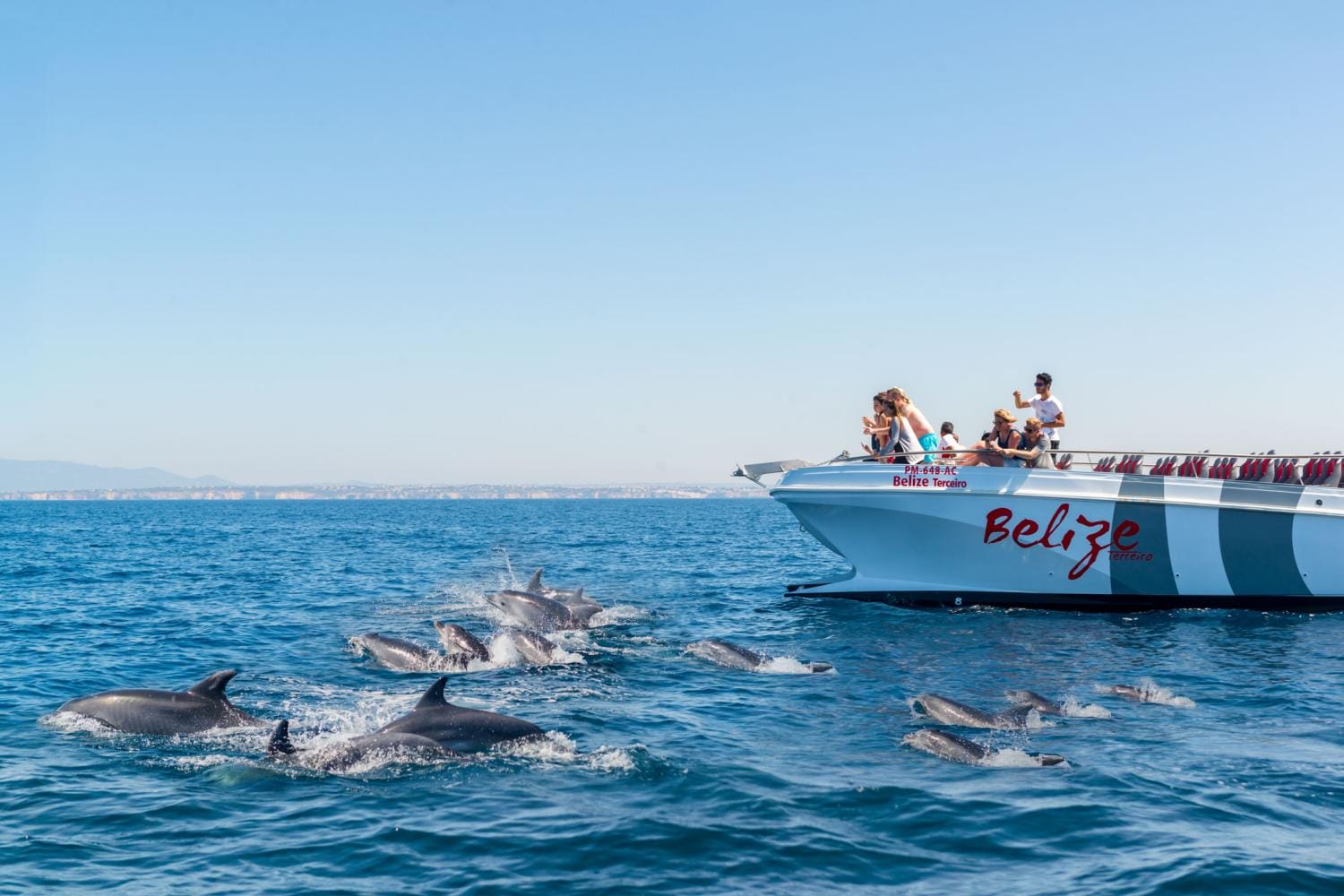 Delfines y Benagil en catamarán