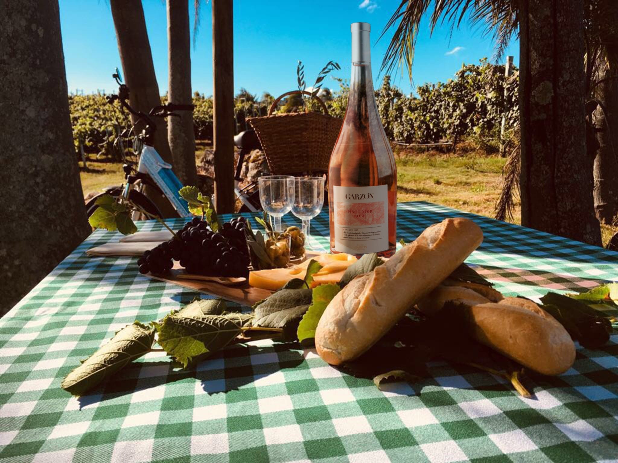 Picnic en el viñedo
