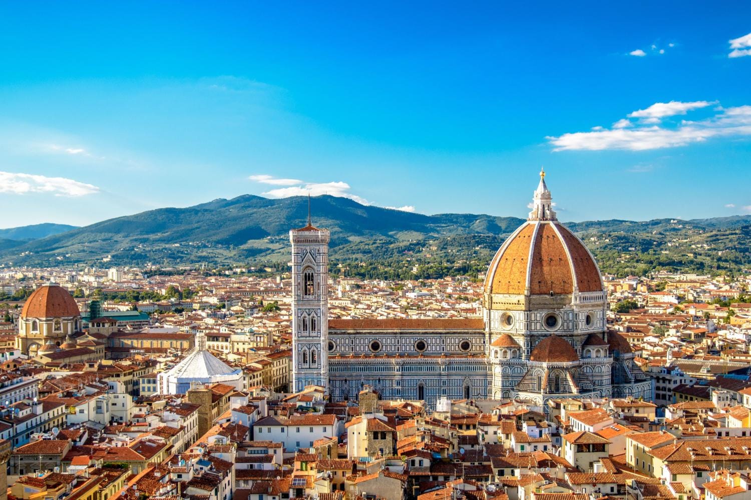 Florence City Pass with Uffizi, Accademia