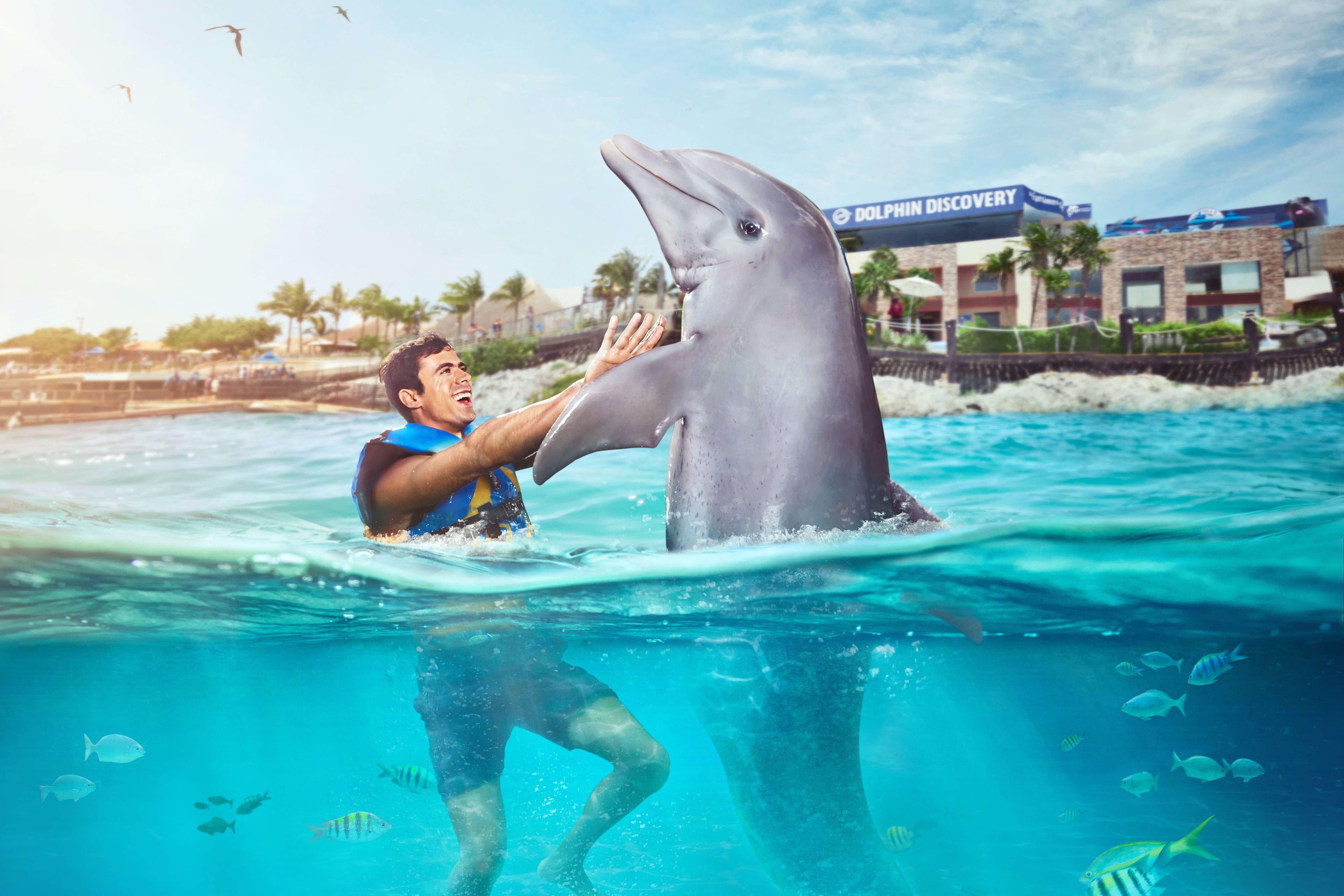 Dolphin encounter in Isla Mujeres