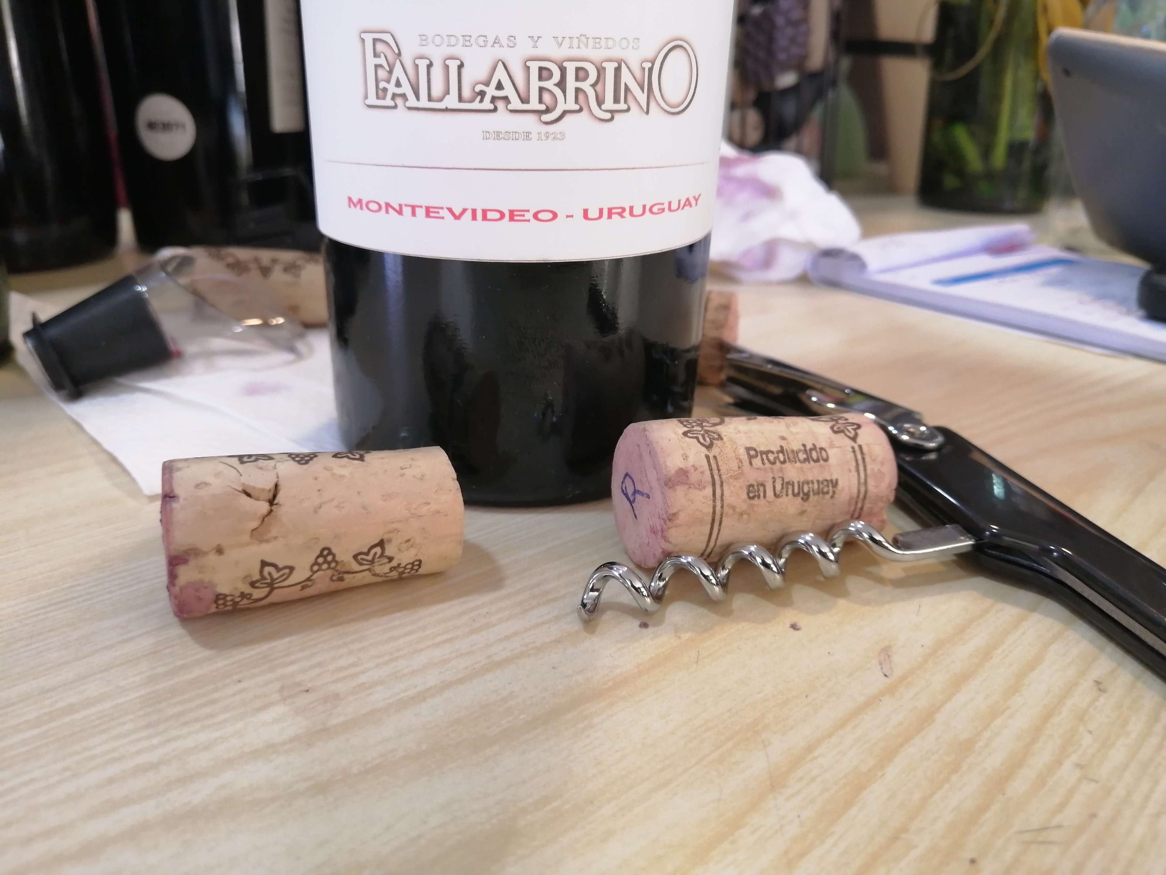 Dos bodegas: Dardanelli y Fallabrino