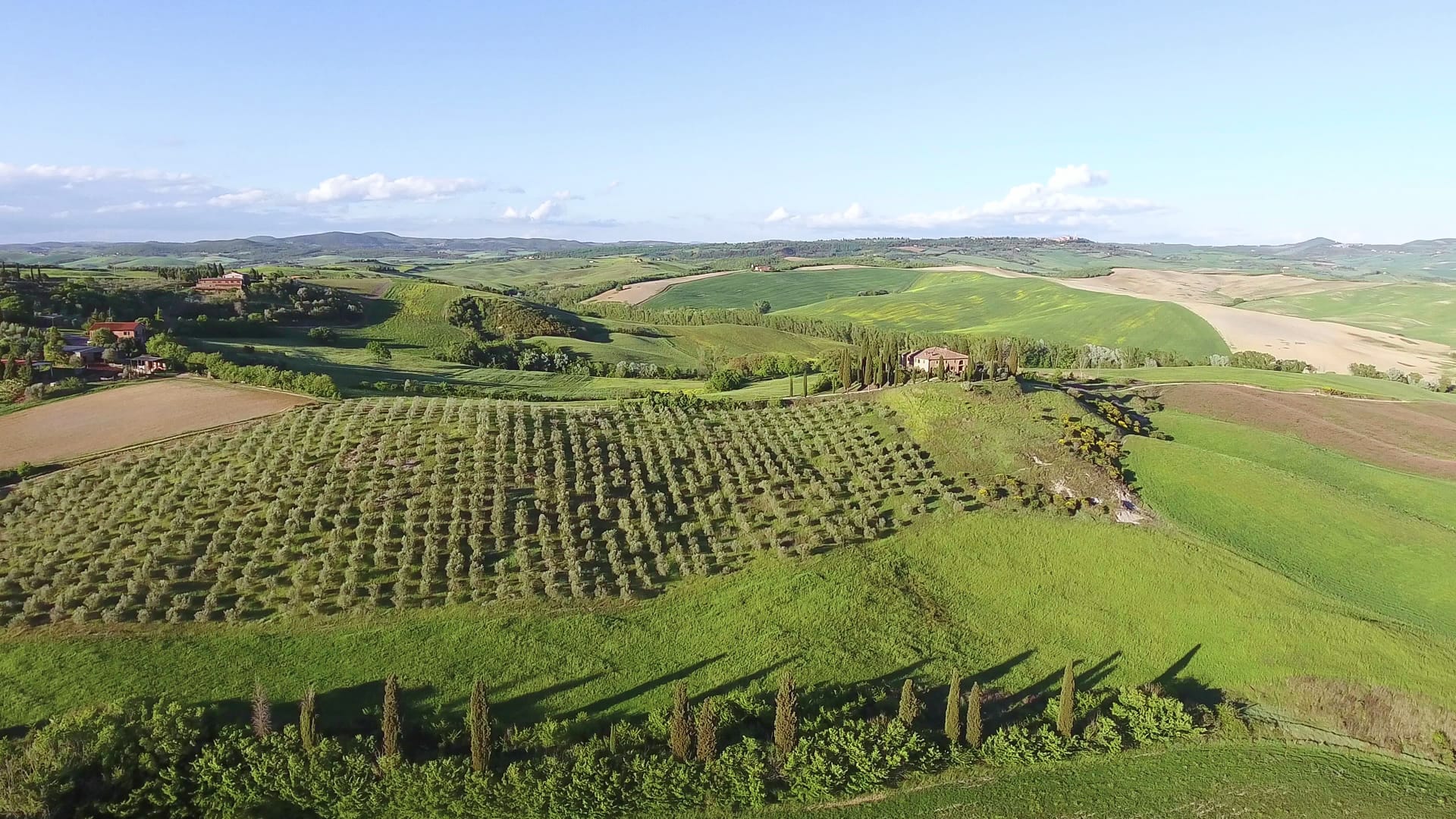 Chianti por la mañana: vinos y productos