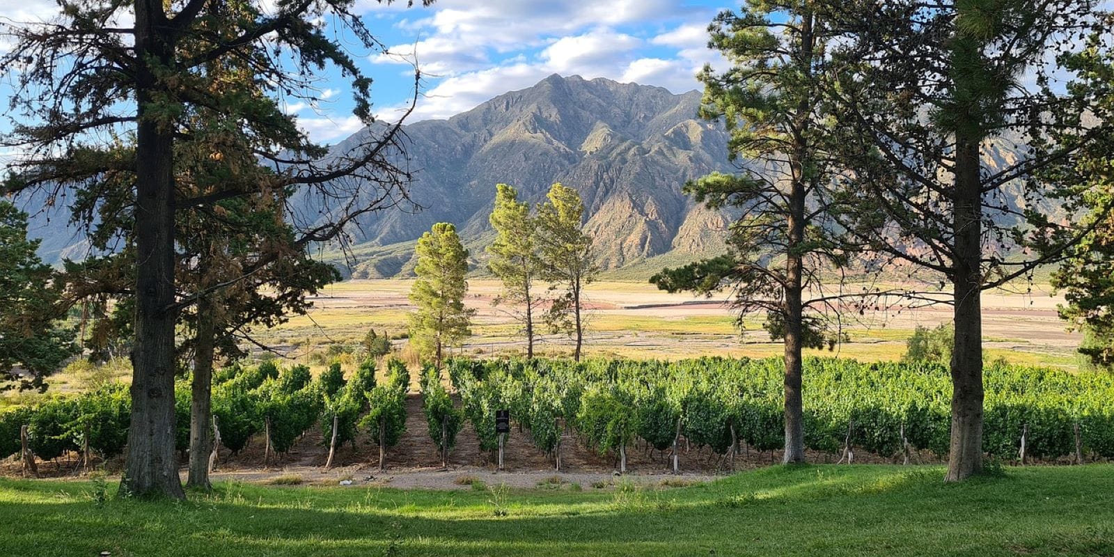 Valle de Uco: vino, cultura e historia