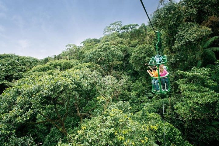 Aventura 6 en 1 en la selva tropical