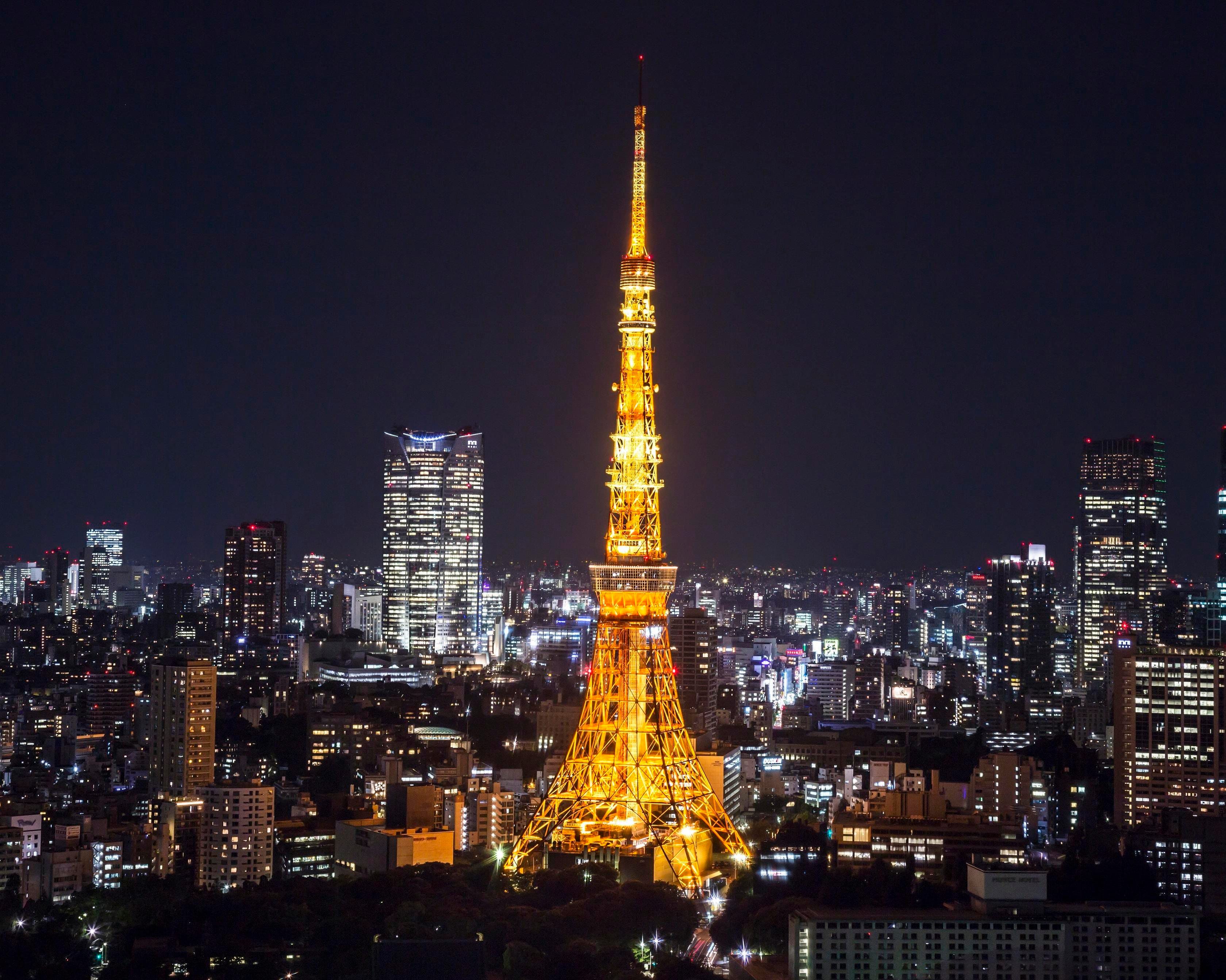 Tokyo Tower and 24-Hour Subway Ticket