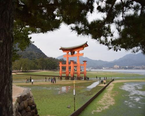 Hiroshima y Miyajima desde Kioto