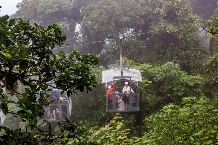 Sky Walk: Sky Tram y tirolesa Sky Trek