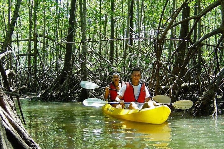 Kayak a isla Damas desde Manuel Antonio