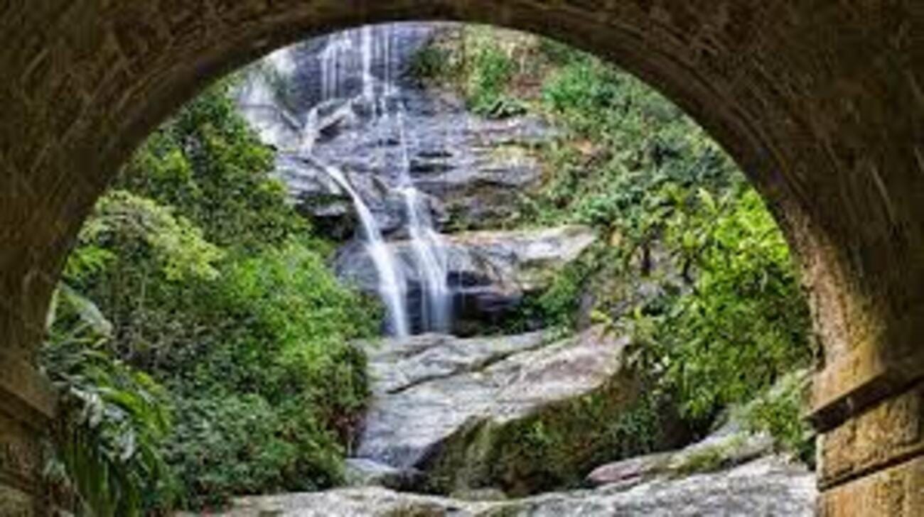 Tijuca Forest and Botanical Garden Tour