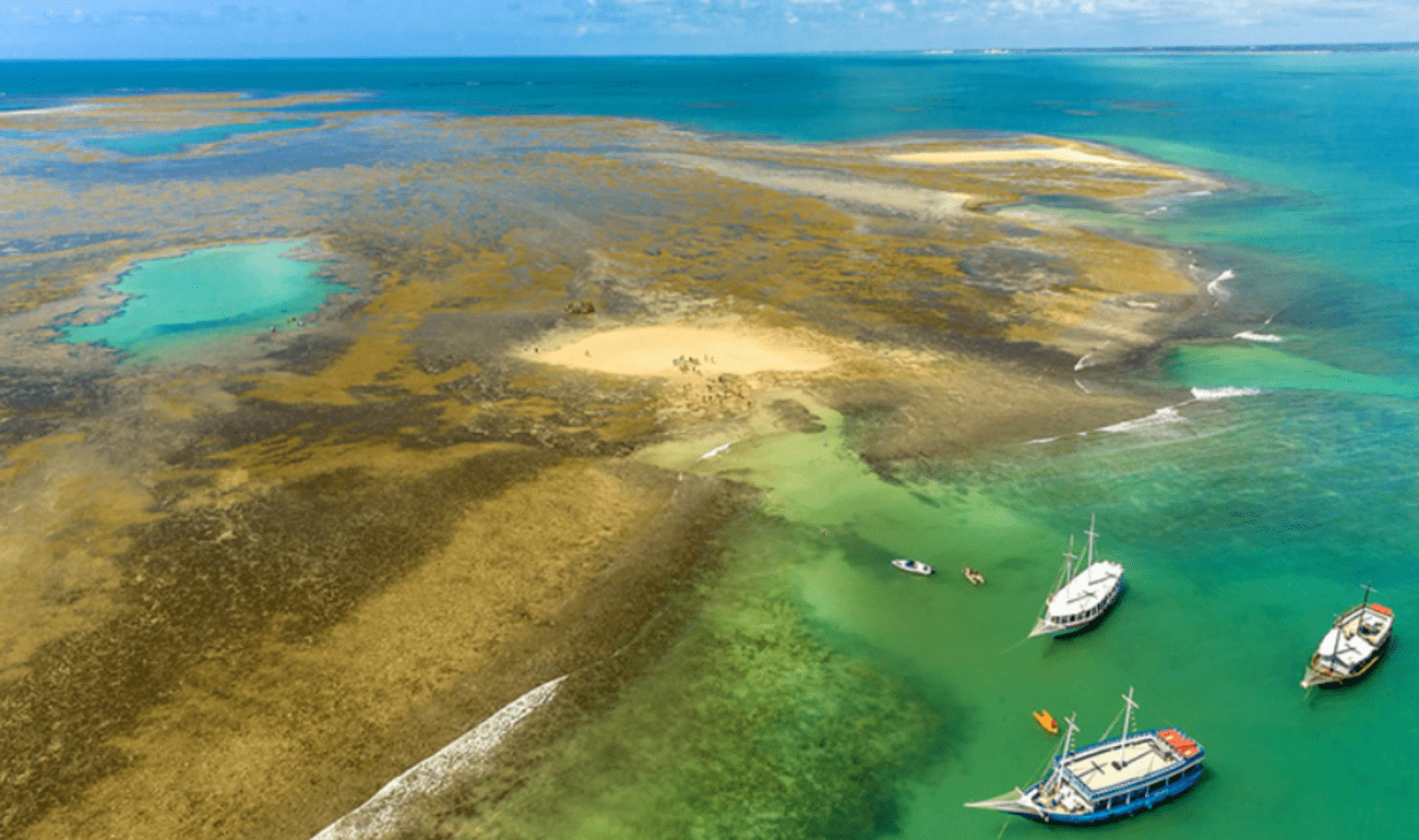 Tour al Recife de Fora