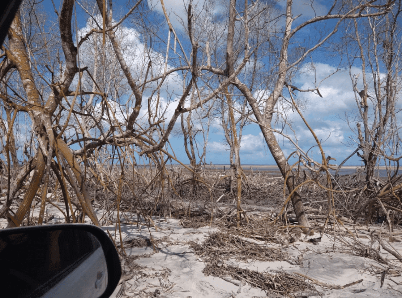 Tour por la Costa Oeste