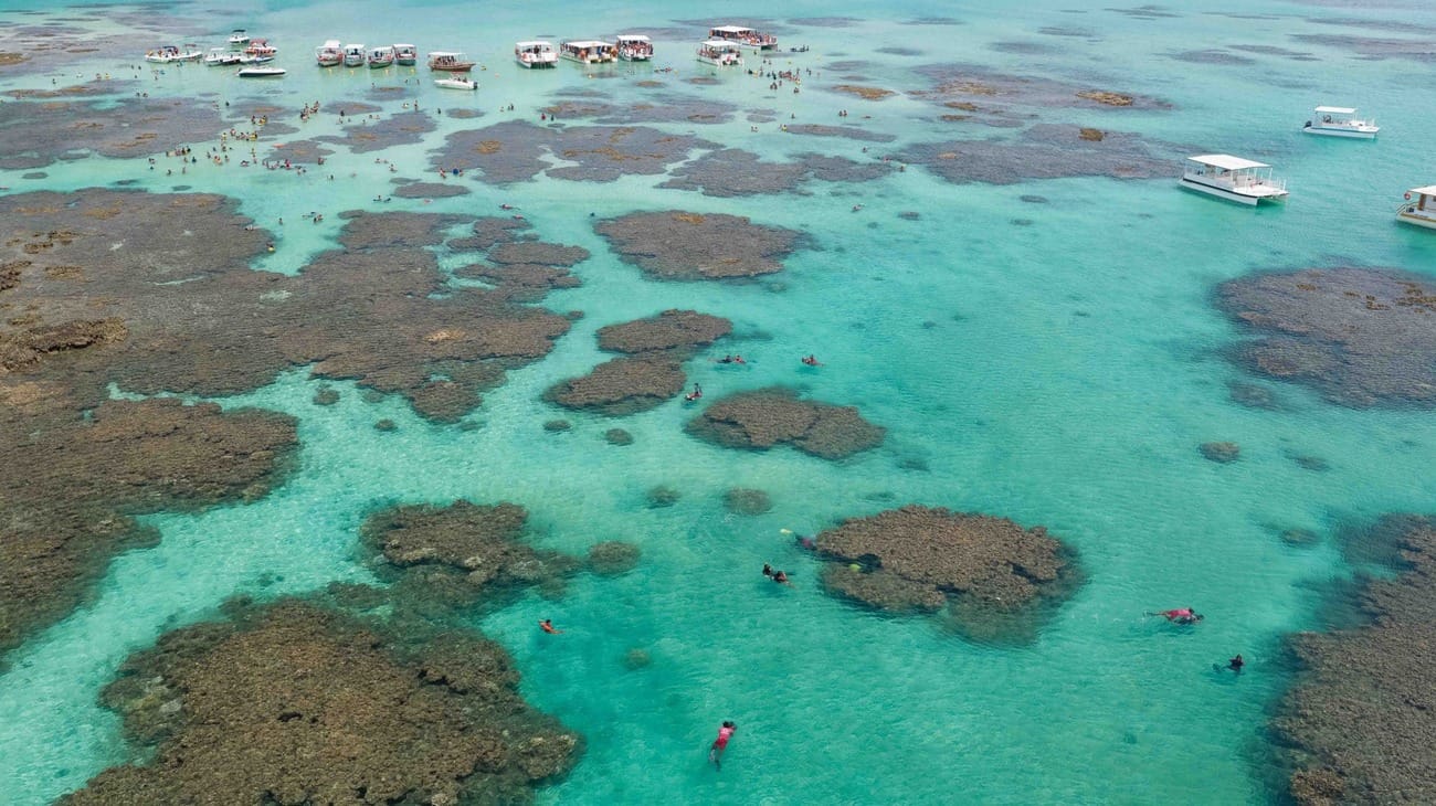 Tour a Maragogi