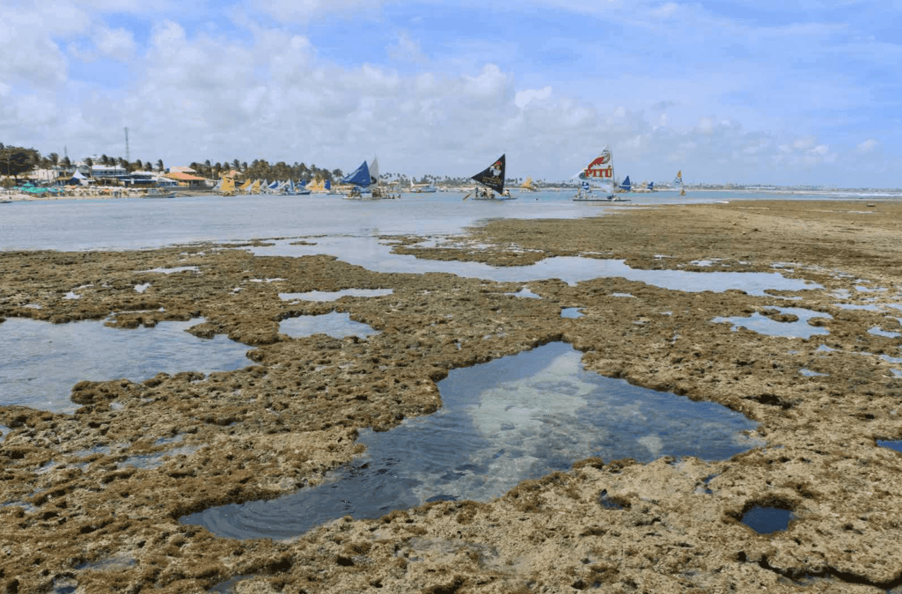 Visita a Porto de Galinhas