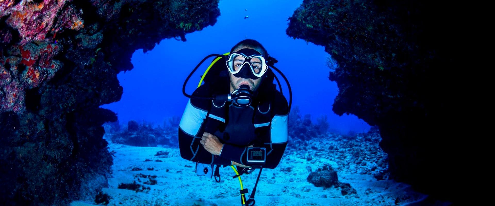 Buceo en Paracas - Buceo de descubrimiento