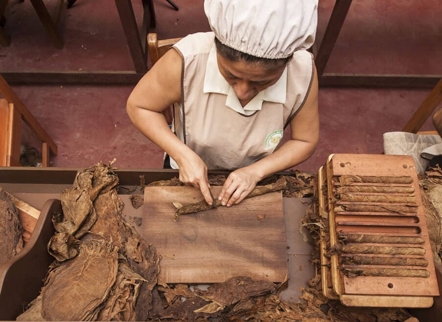 Tarapoto: ciudad, chocolate y animales