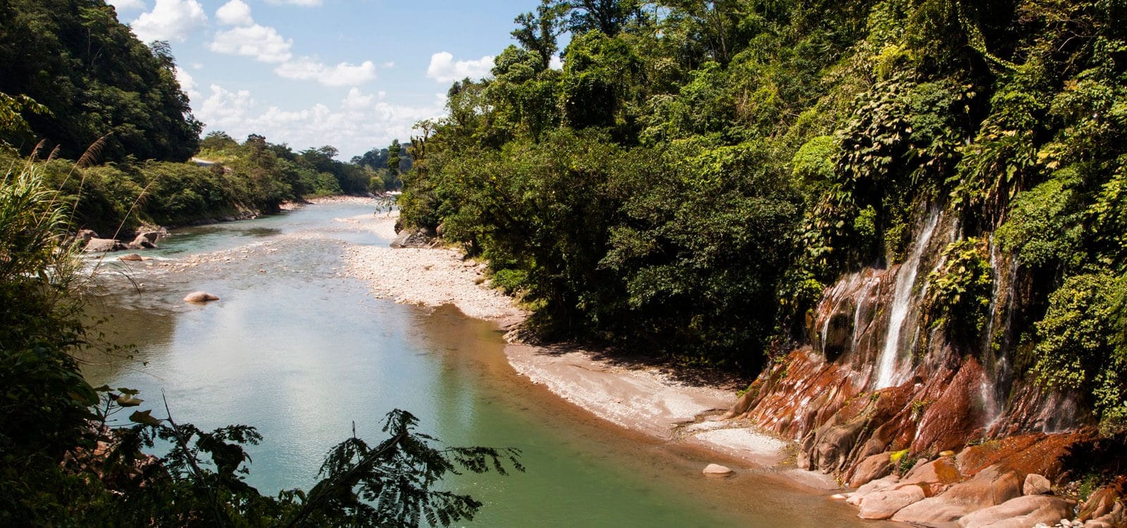 Reserva Alto Mayo de Tarapoto