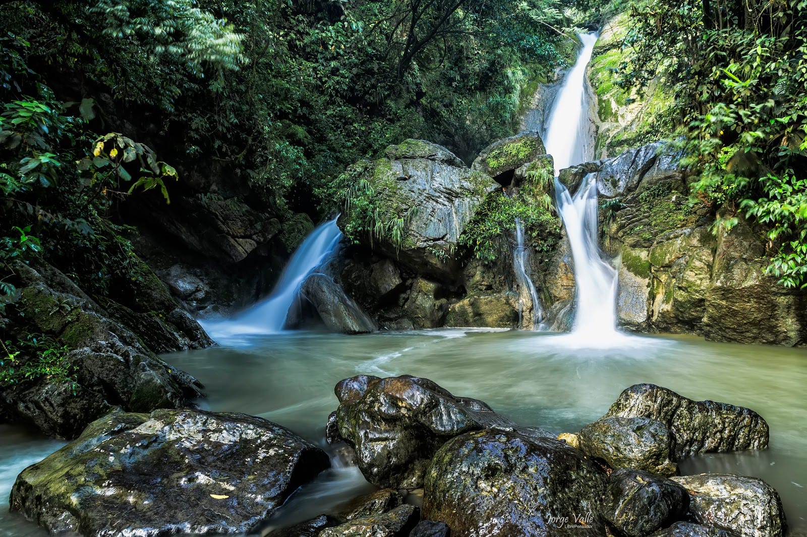 Oasis de la naturaleza: Honolulu