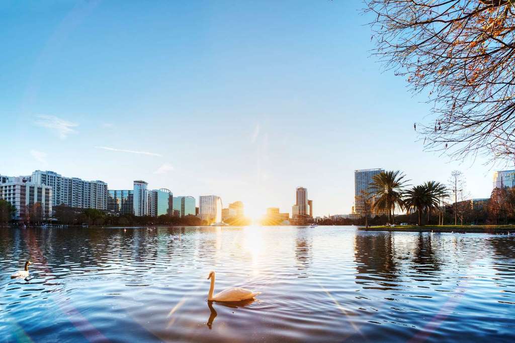 Orlando Highlights Tour with Orlando Eye