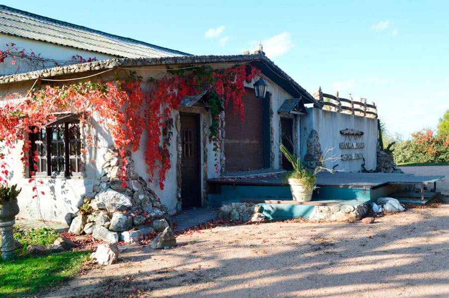 Visita a la Bodega Moizo