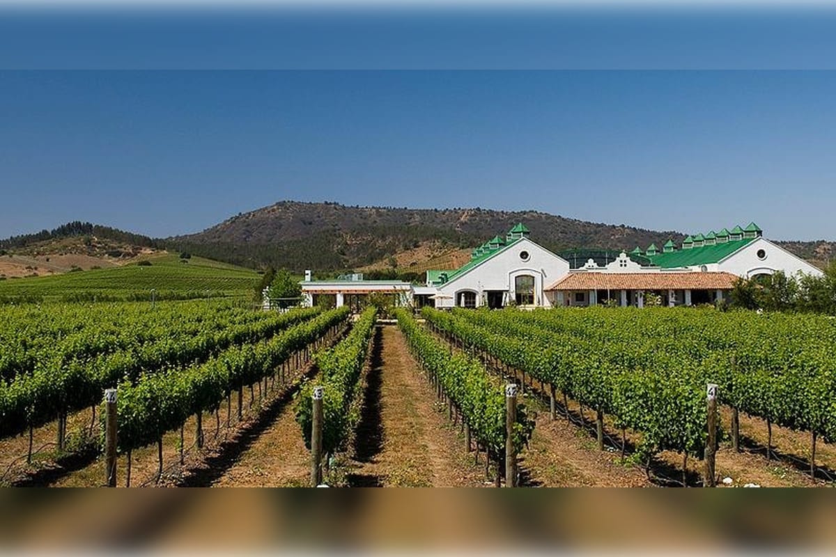 Vinha Casas del Bosque com transferes