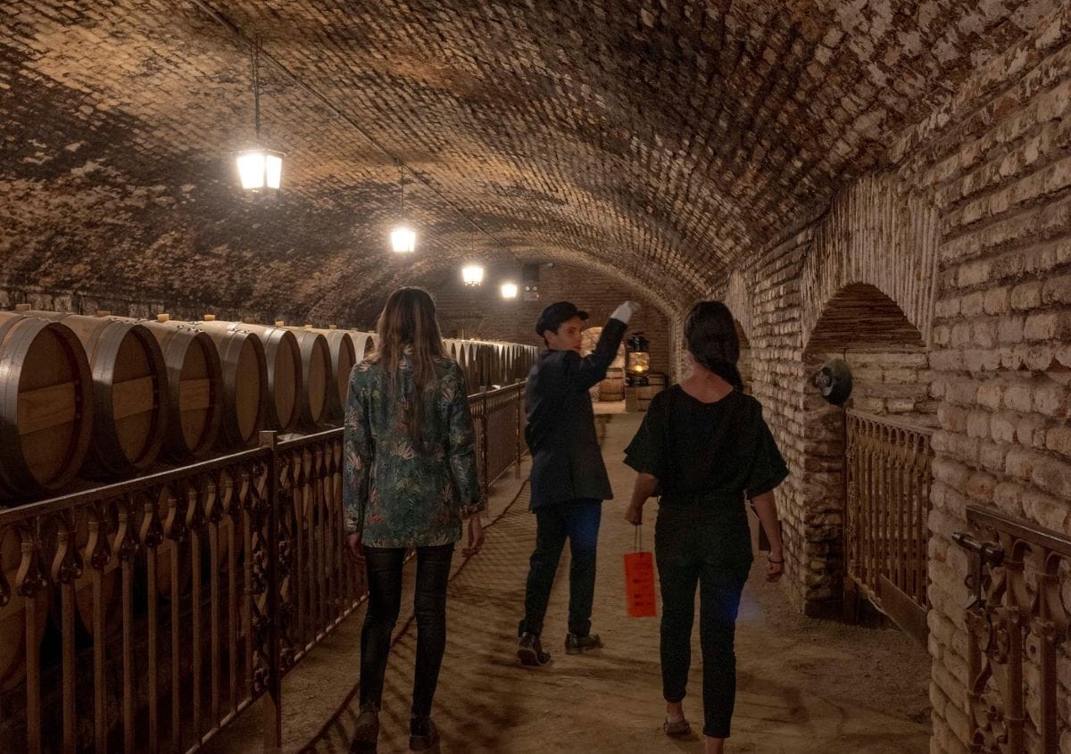 Concha y Toro noturno com prova e jantar