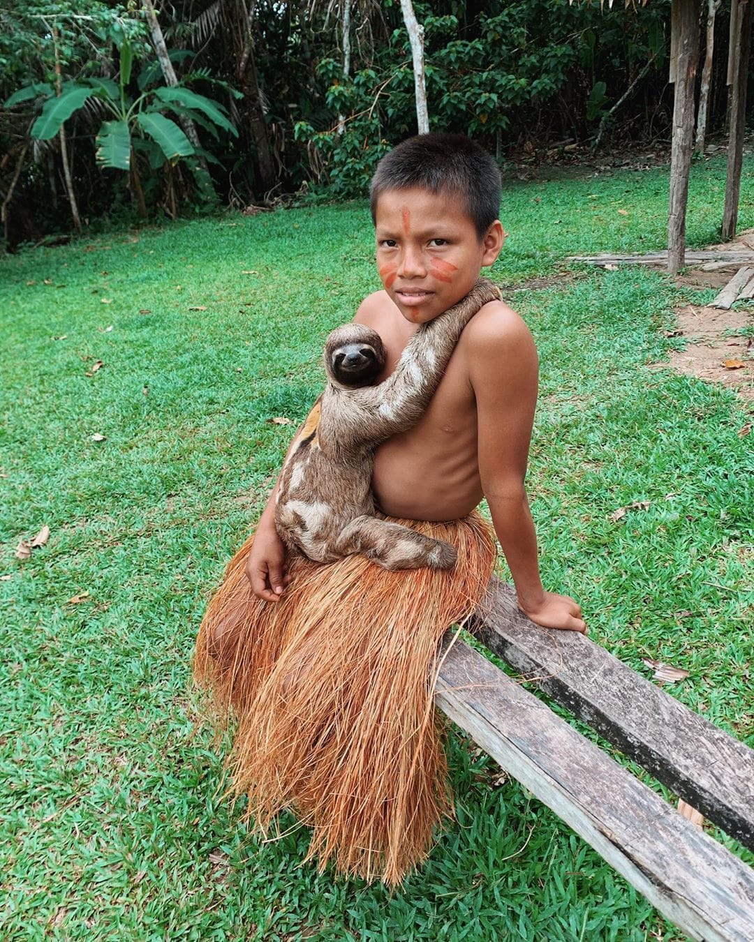 Safari en el Amazonas: día completo