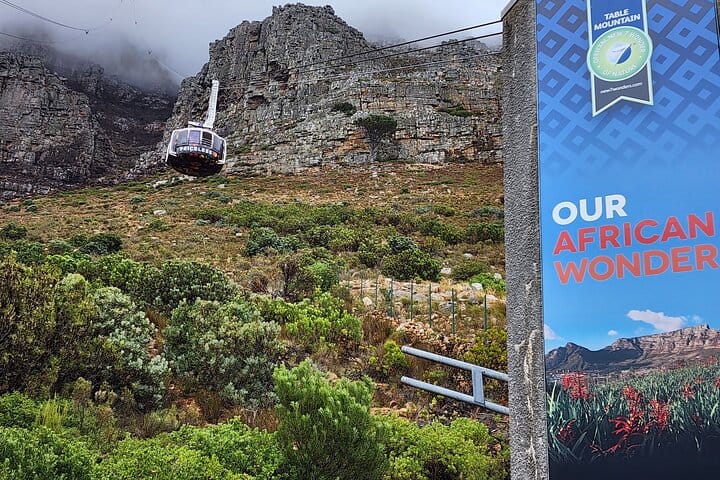 Table Mountain, Boulders y Cape Point