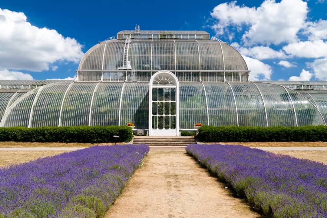 Kew Gardens