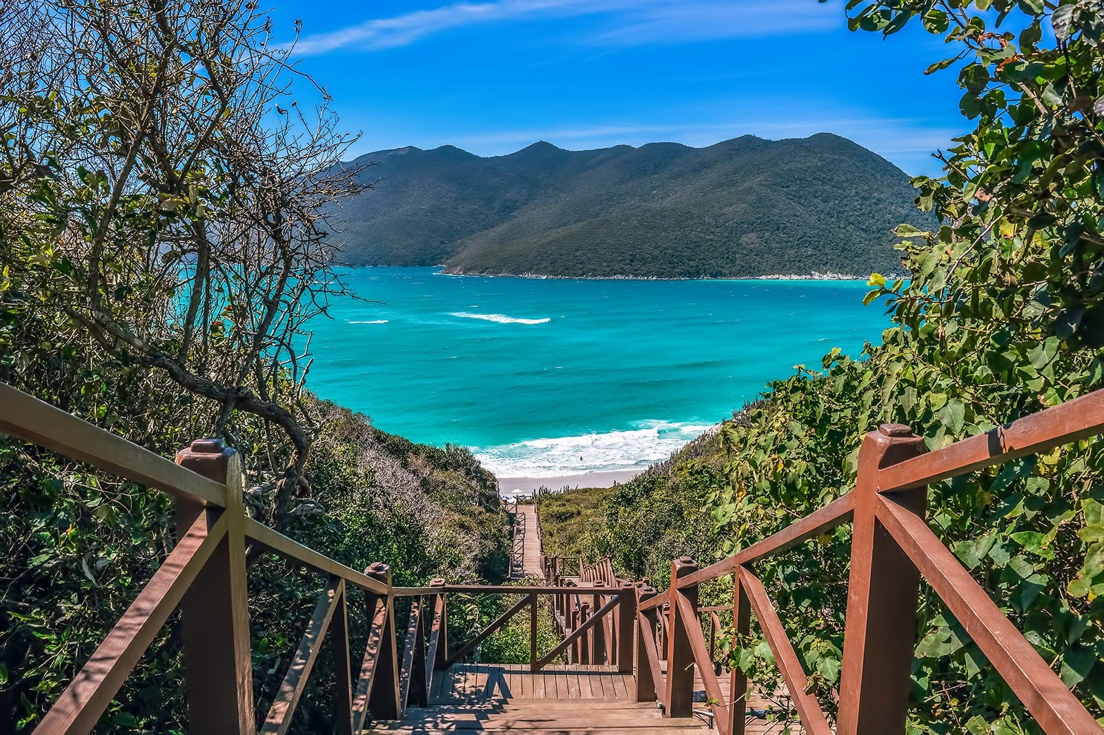 Arraial do Cabo Tour from Rio