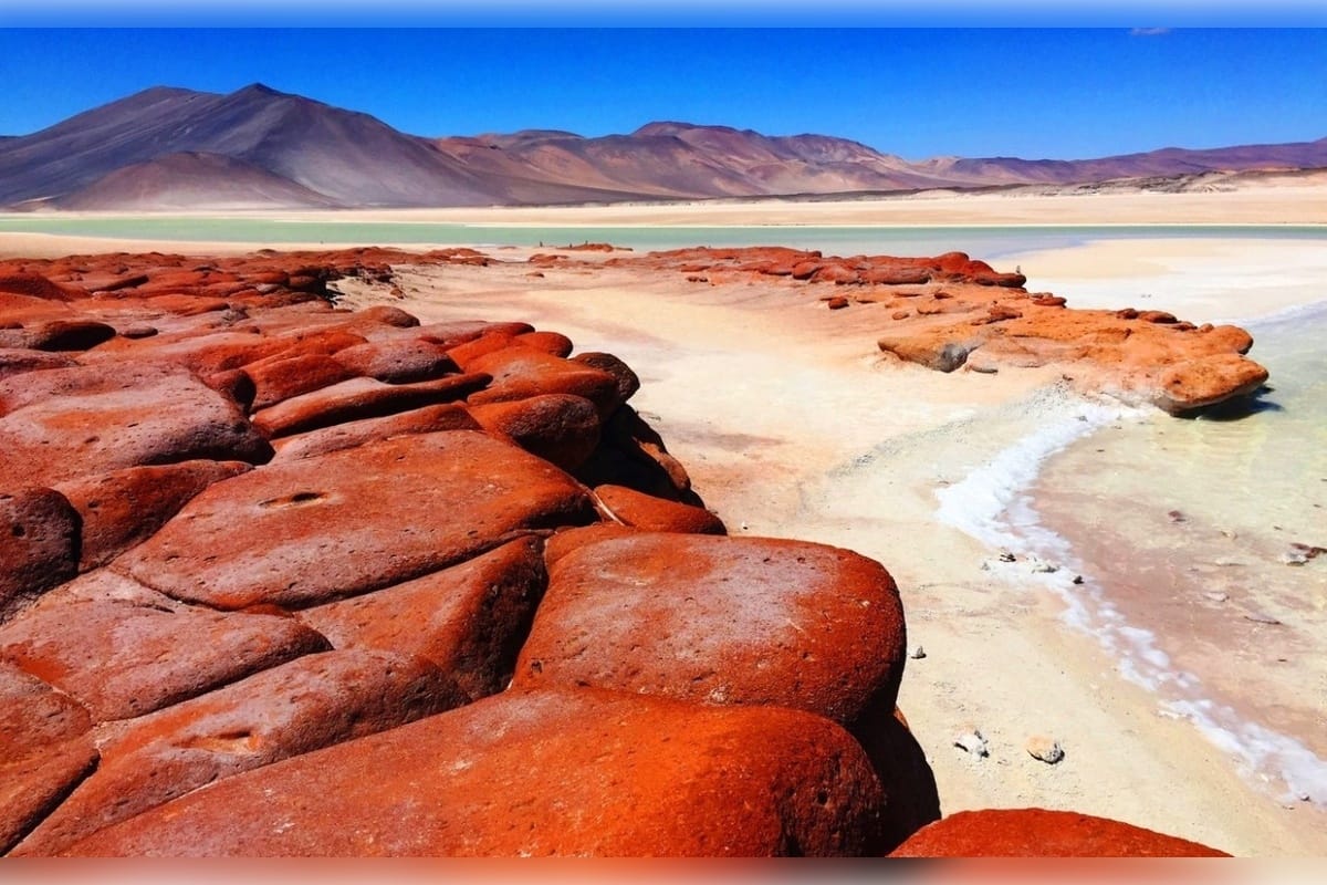 Piedras Rojas, lagunas altiplánicas y Chaxa