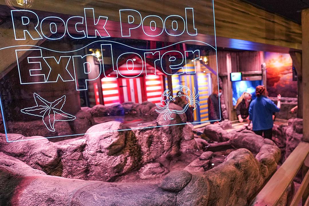Sumérgete en SEA LIFE Great Yarmouth