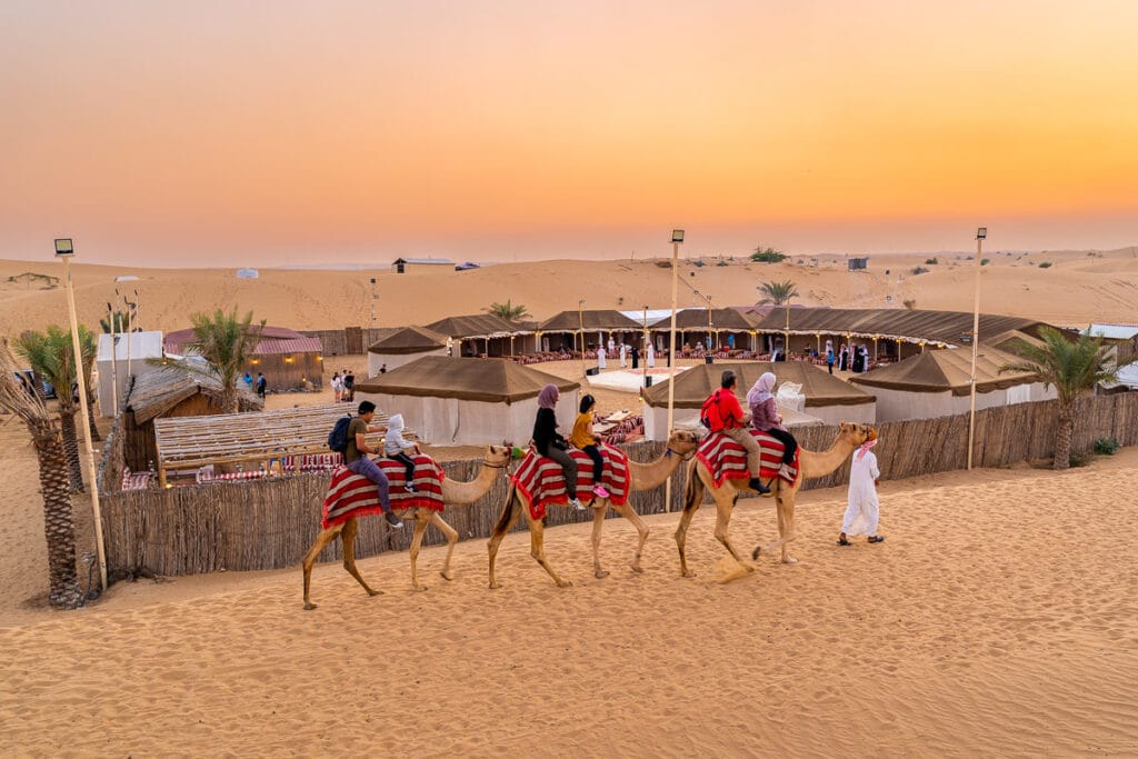 Overnight Heritage Desert Safari in a Camel