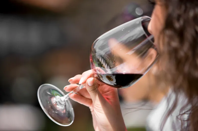 Tour Gran Reserva - Valle de los Viñedos